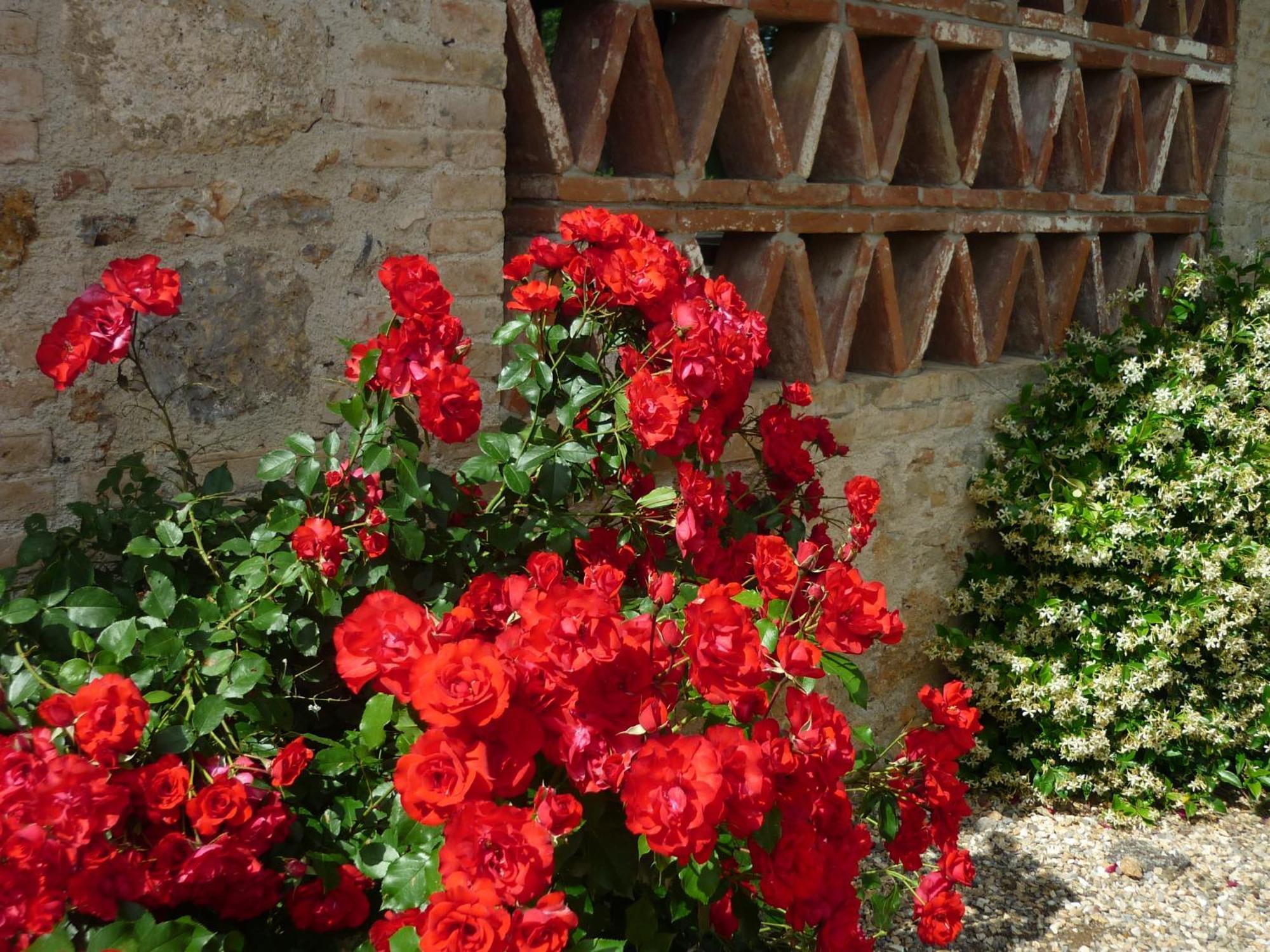 Villa Fattoria Agriturismo Nerbona Casole dʼElsa Exterior foto