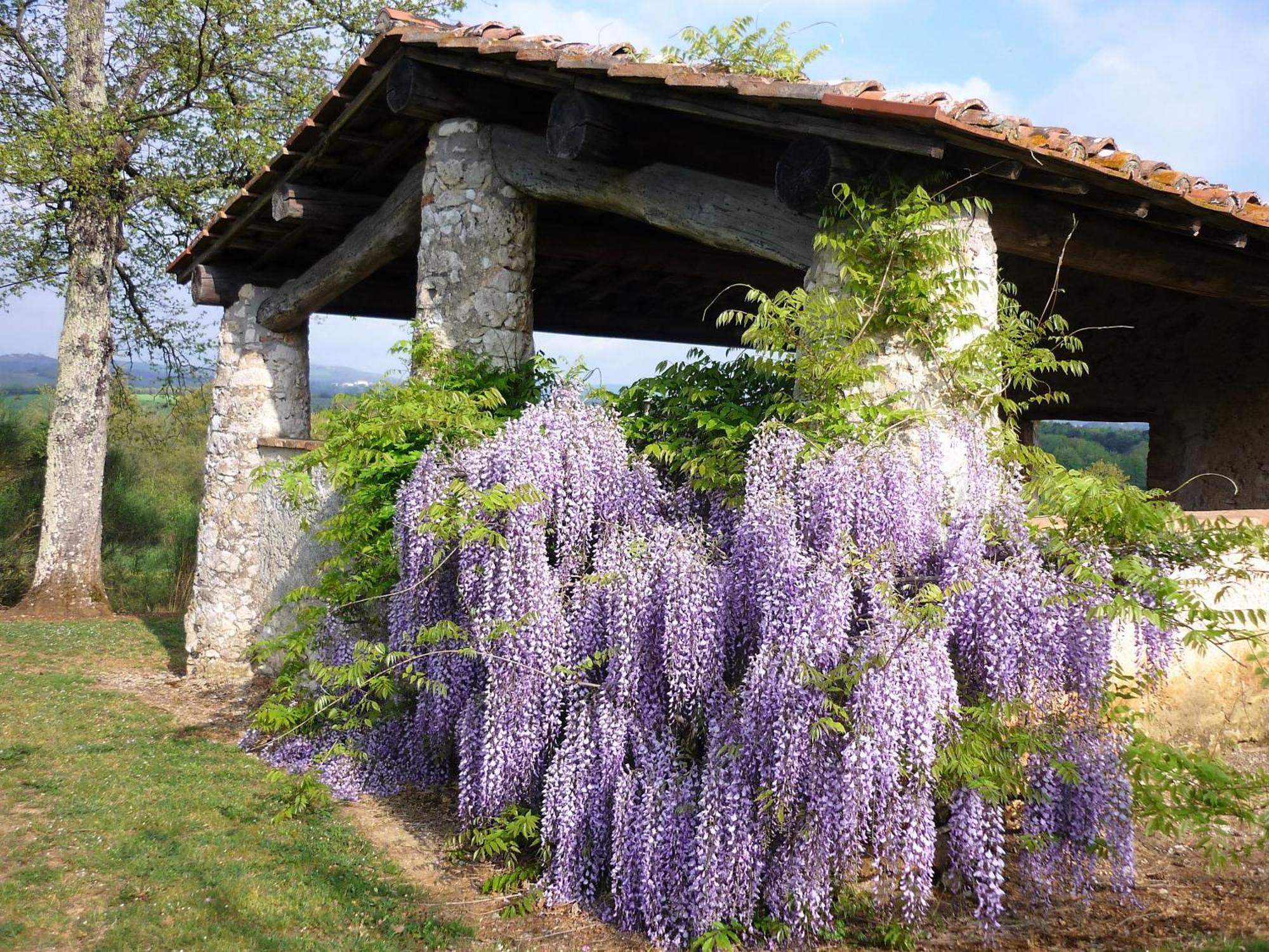 Villa Fattoria Agriturismo Nerbona Casole dʼElsa Exterior foto